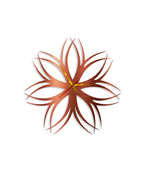 Color_Copper : Rustic Radiant Charm