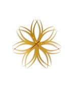 Color_Gold : Rich Royal Radiant